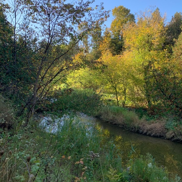 Meet your Posher, Celine - Picture 1 of 1